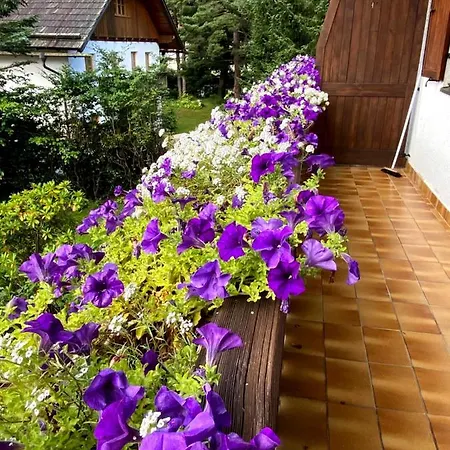 Haus Jolomo Apartment Mallnitz Exterior photo